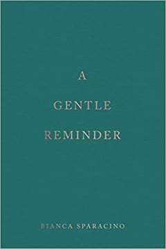 A Gentle Reminder Summary