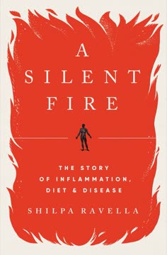 A Silent Fire Summary