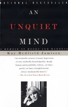 An Unquiet Mind Summary