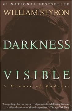 Darkness Visible Summary