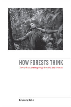 How Forests Think Summary