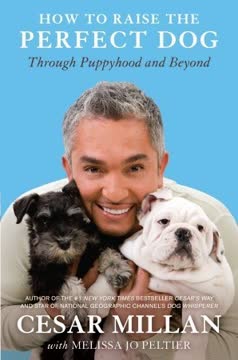 How to Raise the Perfect Dog Summary