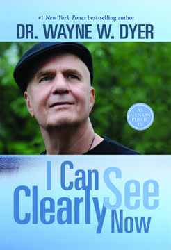 I Can See Clearly Now Summary
