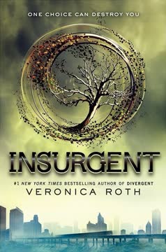 Insurgent Summary