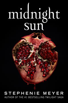 Midnight Sun Summary