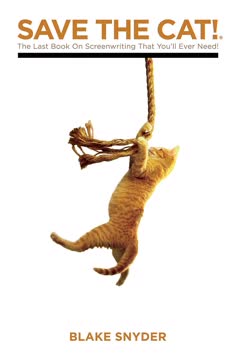 Save the Cat Summary