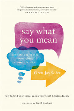 Say What You Mean Summary