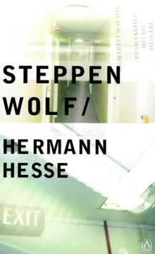 Steppenwolf Summary