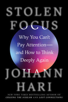 Stolen Focus Summary