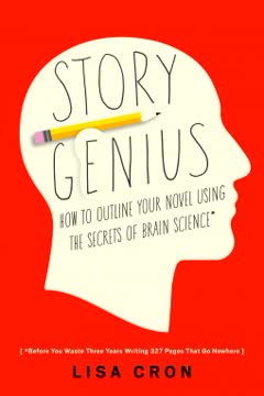 Story Genius Summary