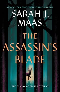 The Assassin&#039;s Blade Summary
