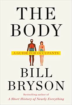 The Body Summary
