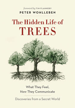 The Hidden Life of Trees Summary