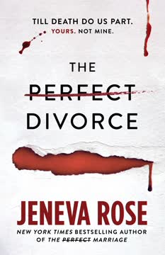 The Perfect Divorce Summary