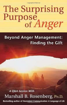 The Surprising Purpose of Anger Summary