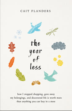 The Year of Less Summary