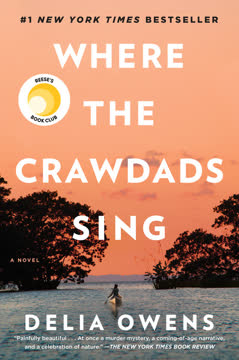 Where the Crawdads Sing Summary